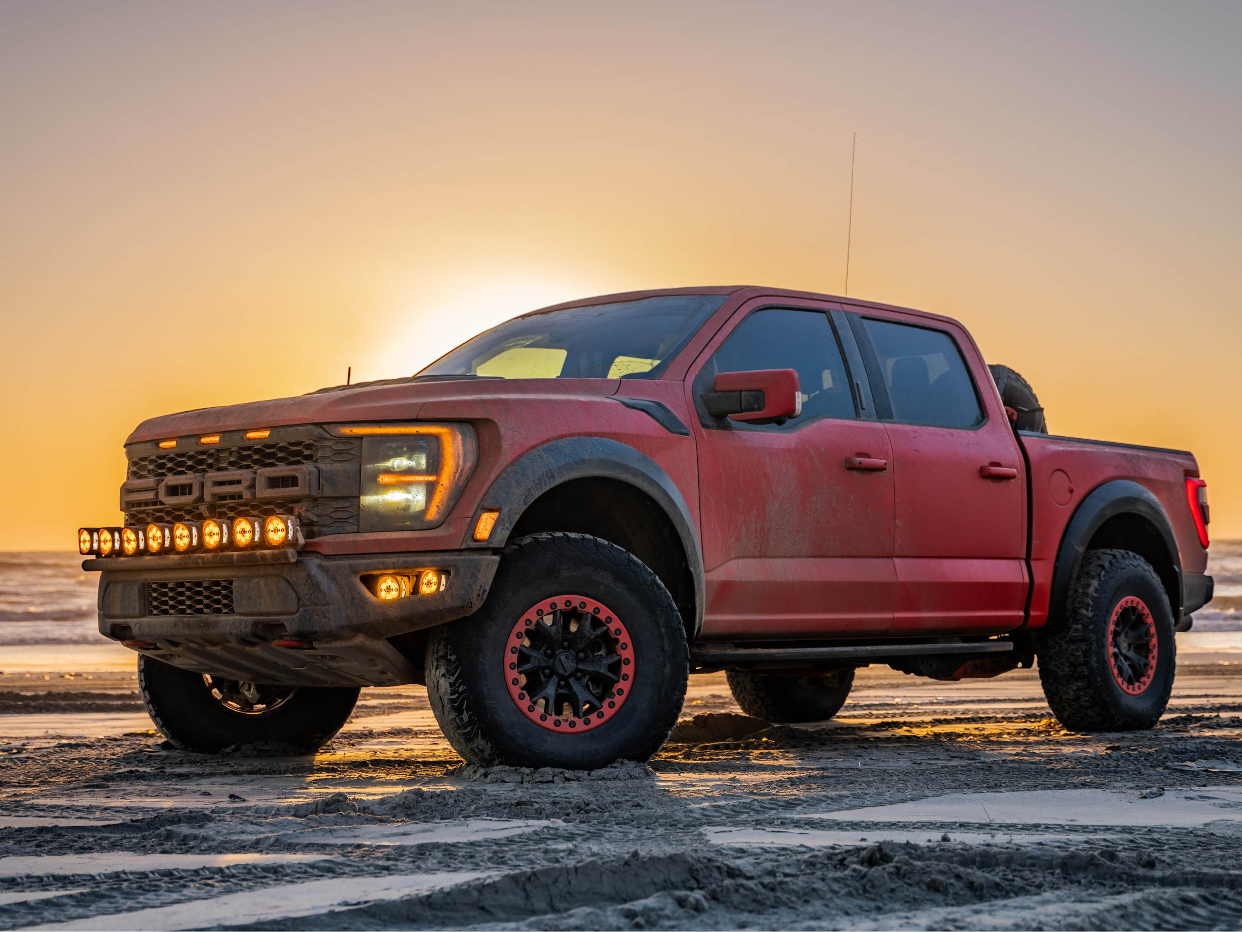 Raptor-Page